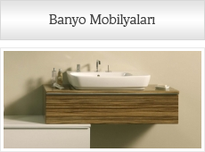 banyo mobilyaları vitra